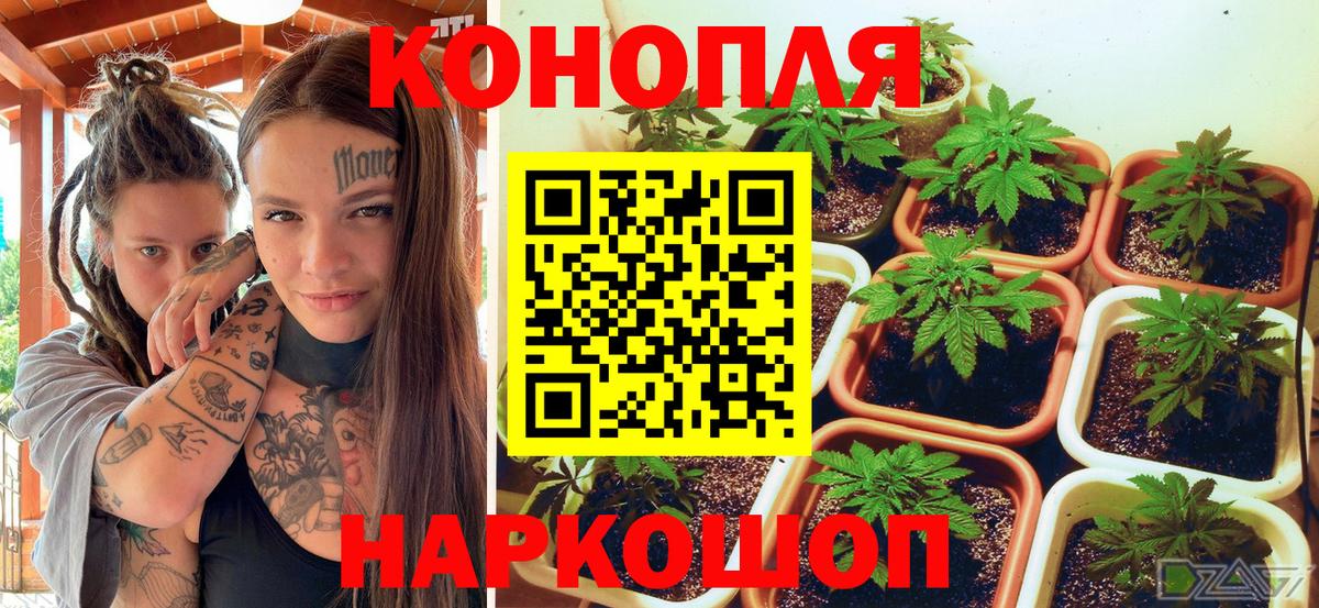 Марихуана LSD WEED  Вход с VPN  Щёкино  Марихуана SATIVA & INDICA 